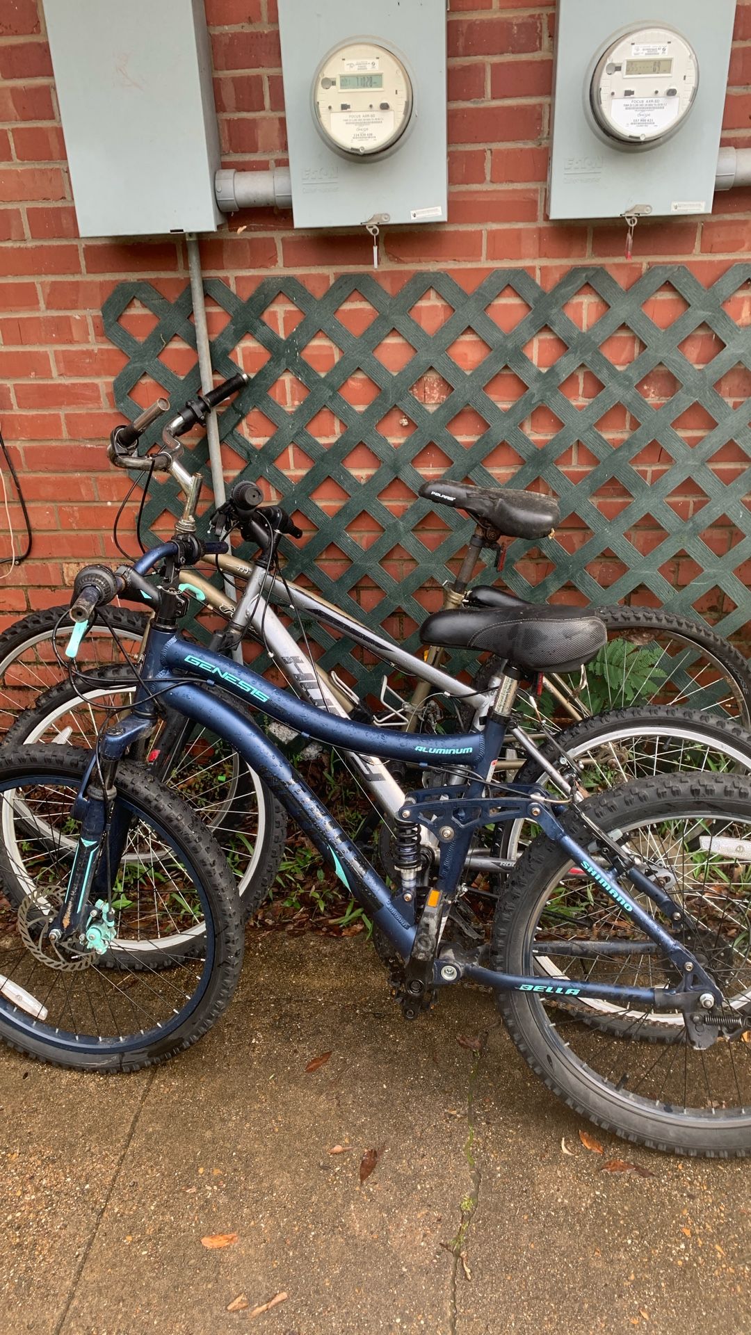 3 Bikes