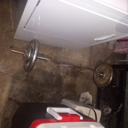 Steel Curl Bar And Weights 