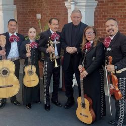Violín Mariachi 
