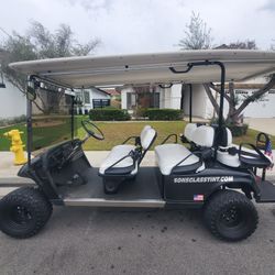 6 Passenger Party Golf Cart