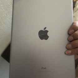 Apple iPad