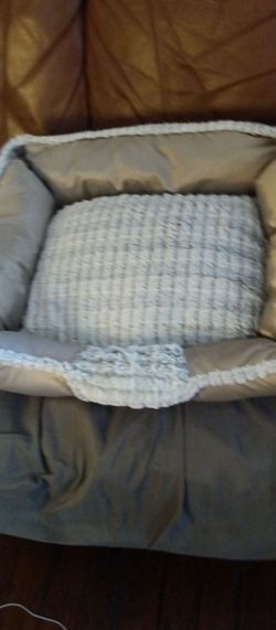 Huge New Cat Bed
