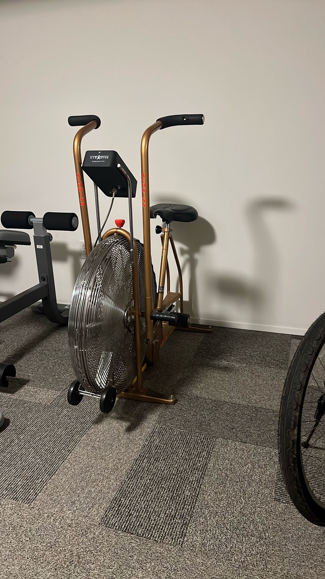 Schwinn Airdyne.