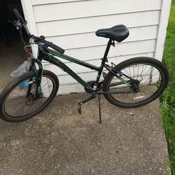 Schwinn 21 Speed