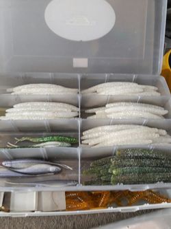 fishing worms strike king 3x senko style baits