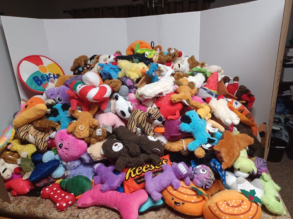 Dog Toys 250 Used, Includes 50 New Squeakers