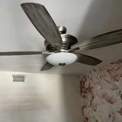 Fan