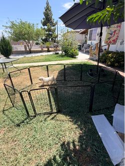 Dog playpen
