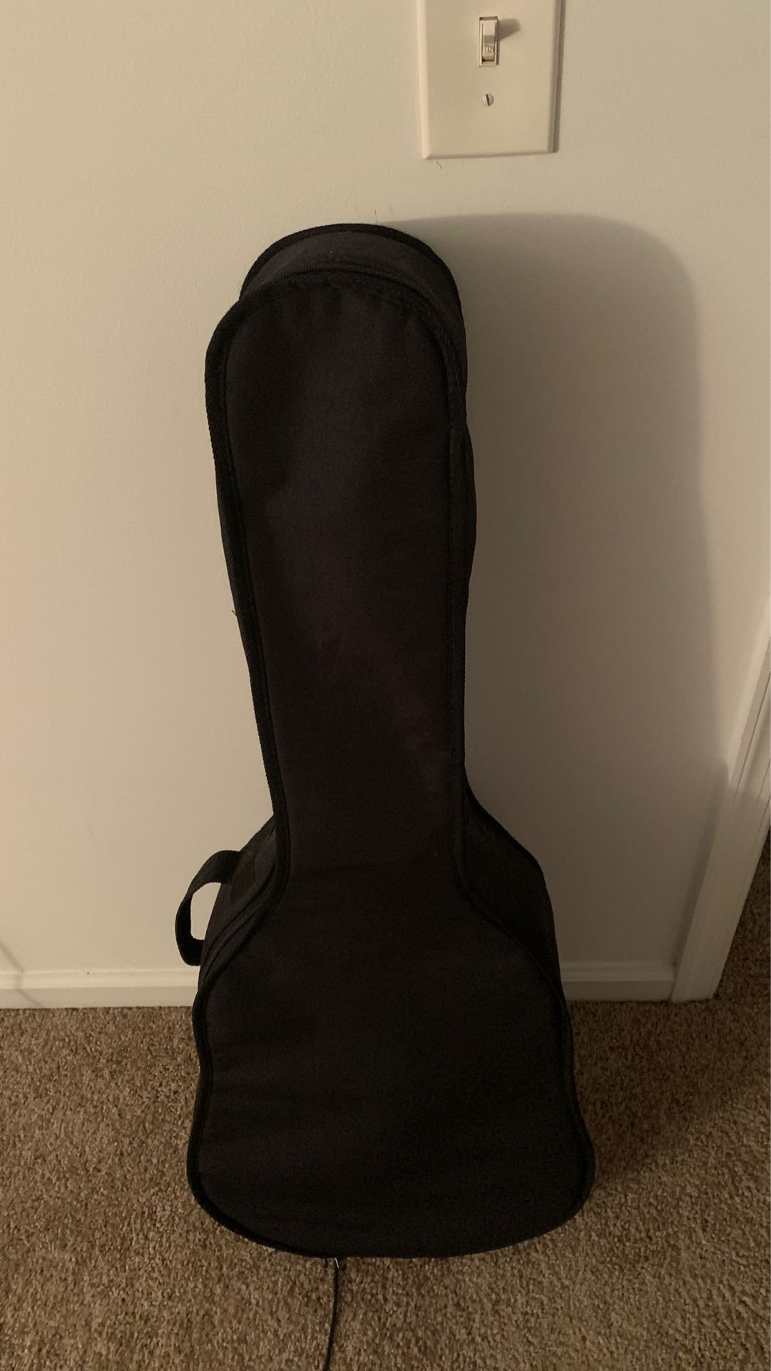 Acoustic guitar for sale PLUS a bag (FA-100)