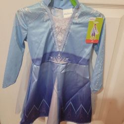Elsa Costume 