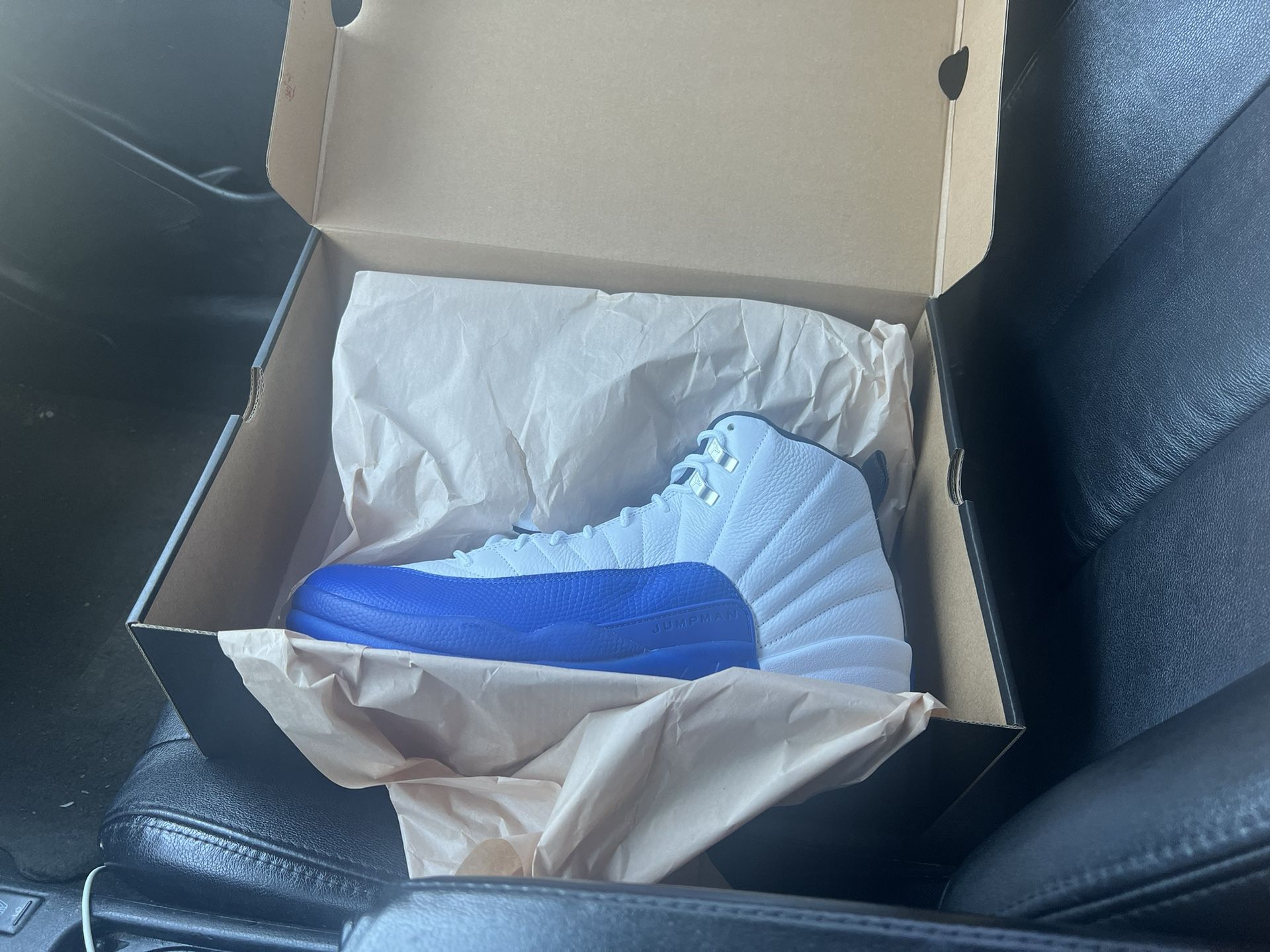 Jordan 12 Blueberry