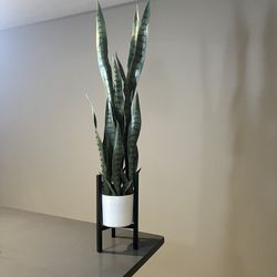 Fake Decor Plant 