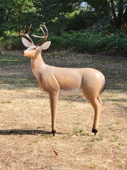 3D Archery Target Blacktail Deer