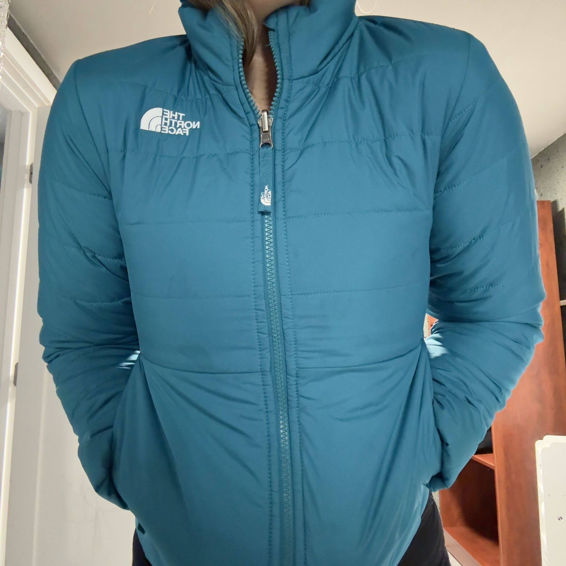 Chamarra the north face