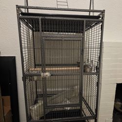 Bird Cage - NEW