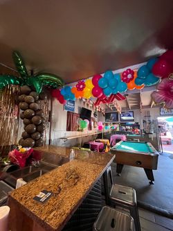 Balloon Garland/Balloon Palm Tree