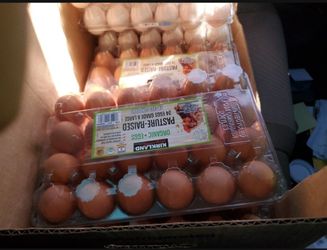 Huevo Oscuro Para Venta