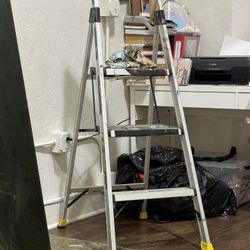 Painter Ladder