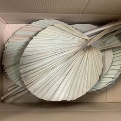 Dried Palm Fans 12Pk Boho Decoration, Party Accessories, Wedding Decorations & Home Decor.