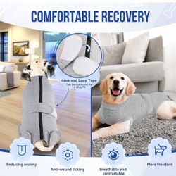 Dog Surgery suit