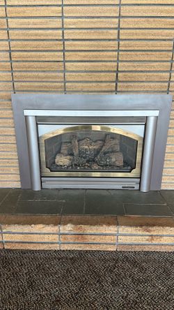 fireplace insert