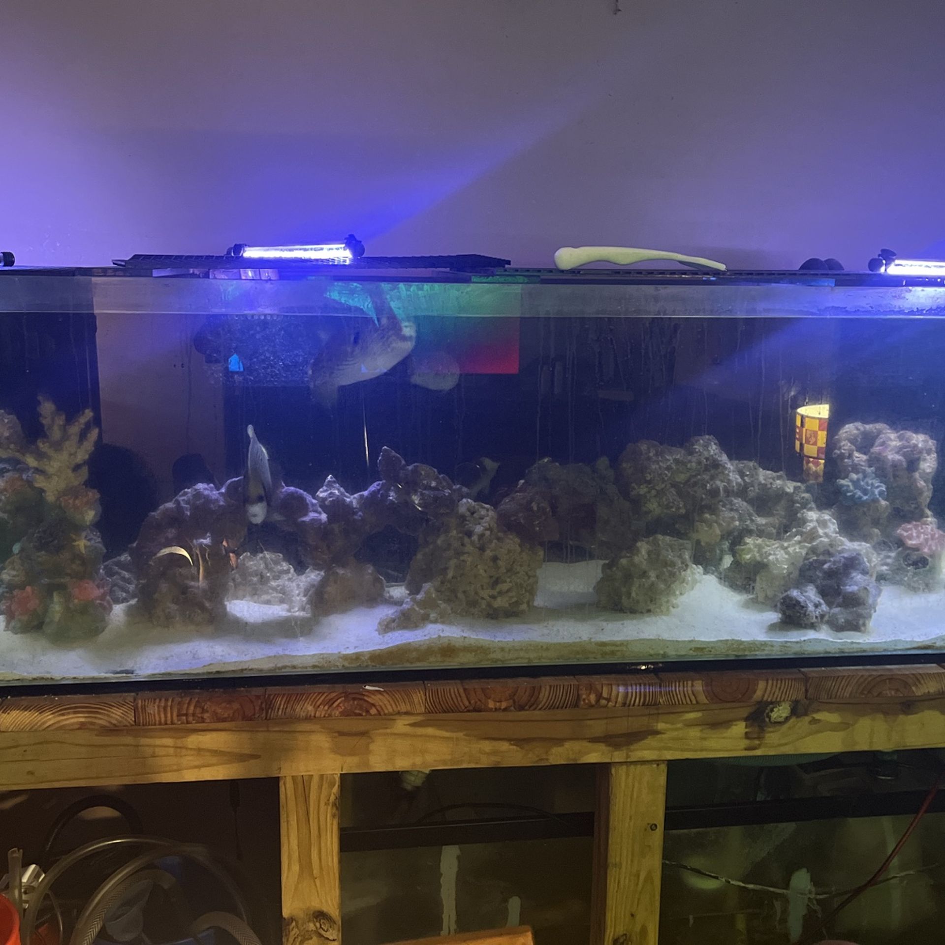 220 G Aquarium (2 Different Ones To Choose From)