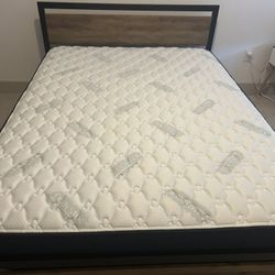 Queen Mattress Only 