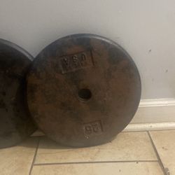 Two 25lbs Weight Plates 
