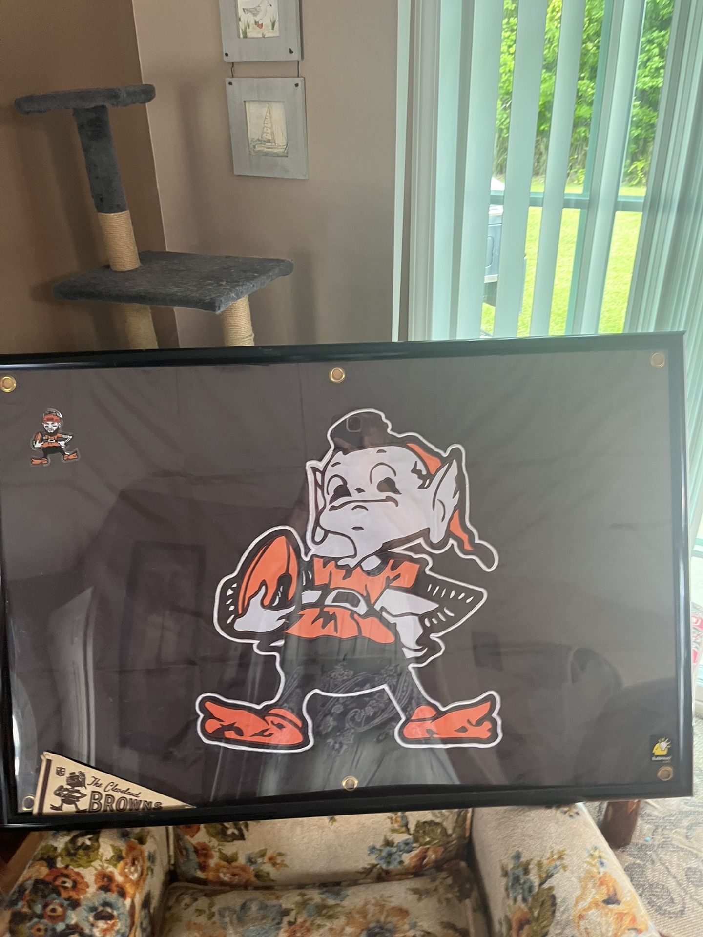 Cleveland Browns Elf