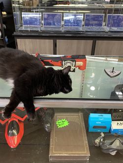 Milwaukee Multi-Tool ( Not The Cat )