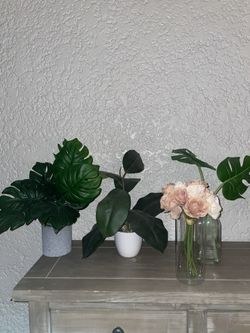 Fake Plants