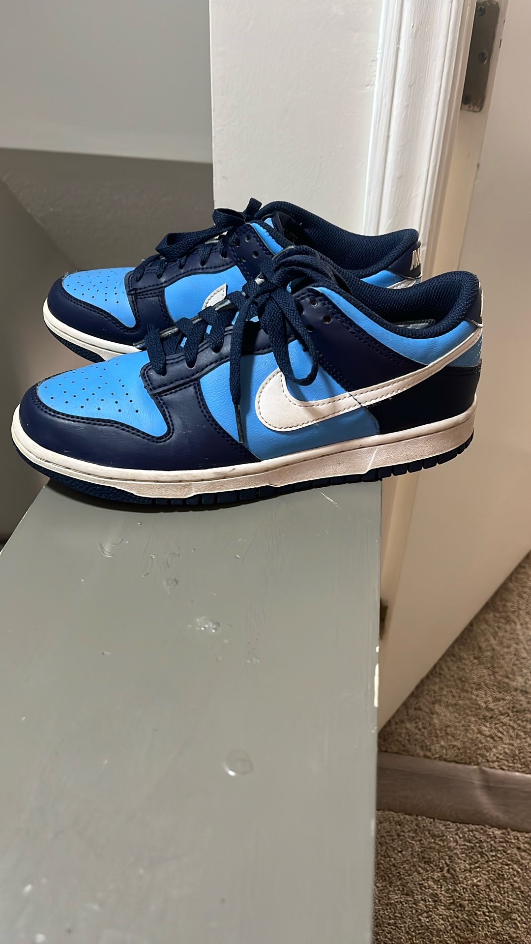 6Y Nike Dunks