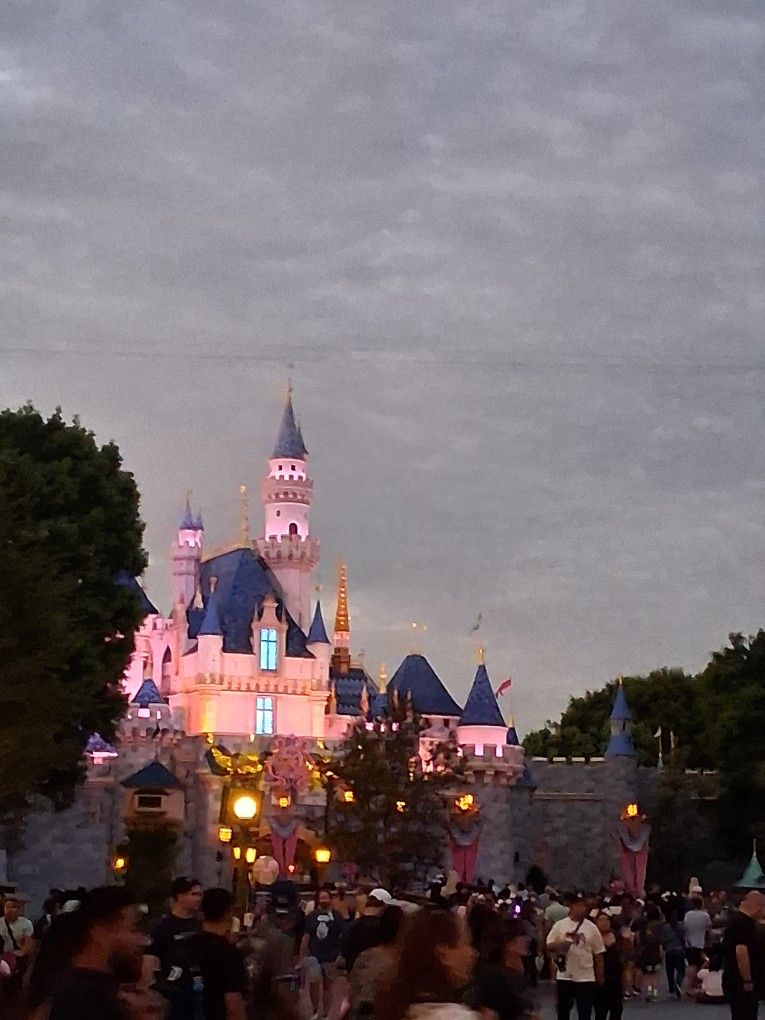 3 DISNEYLAND PARK HOPPER NO BLOCKOUT 