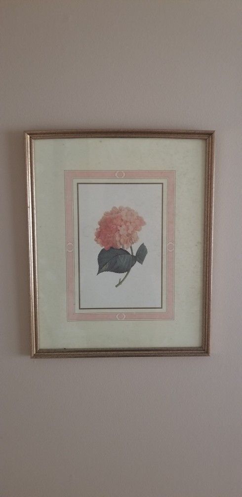 Framed Picture Art