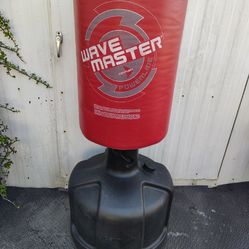 Century Punching Bag