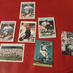 Lance Johnson ( White Sox)  Baseball Cards Signed 