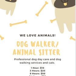 Animal Walker/sitter 