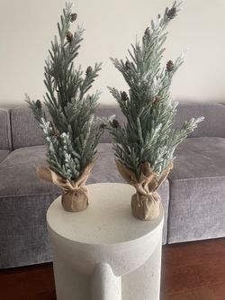 Christmas Decorative  Tabletop Pine Trees 