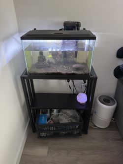 Fish Tank