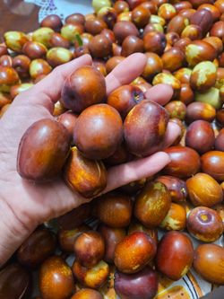Jujube fruit Chinese Date