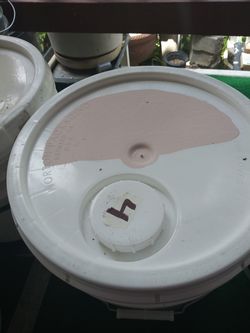Behr buena pintura