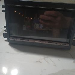 Sony double din
