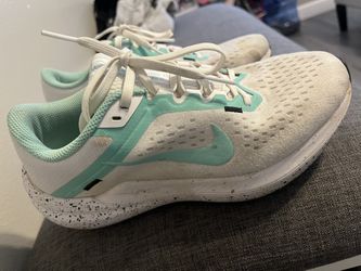 Nike Winflo 10