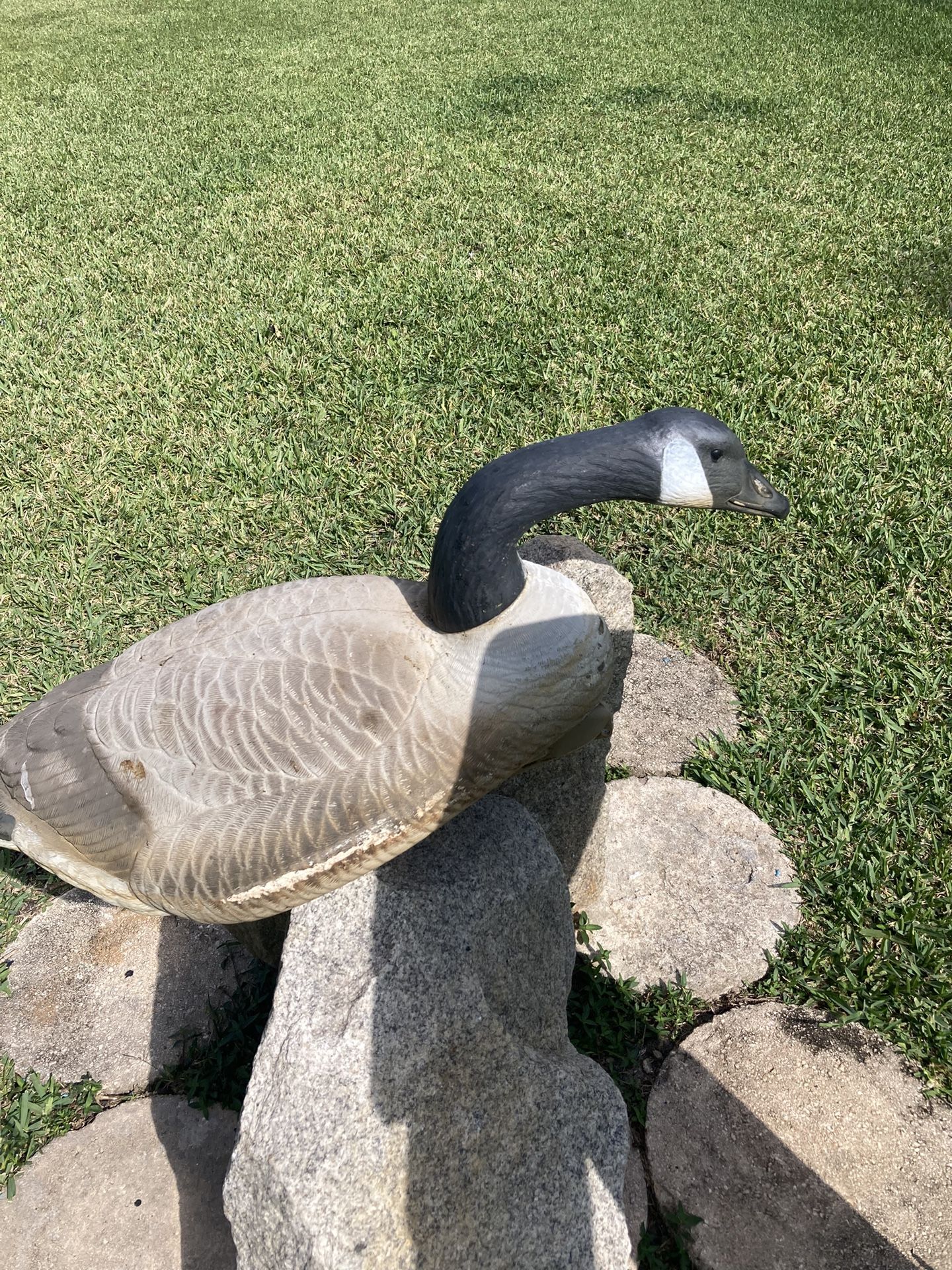 Floating Goose Storm Front Decoys