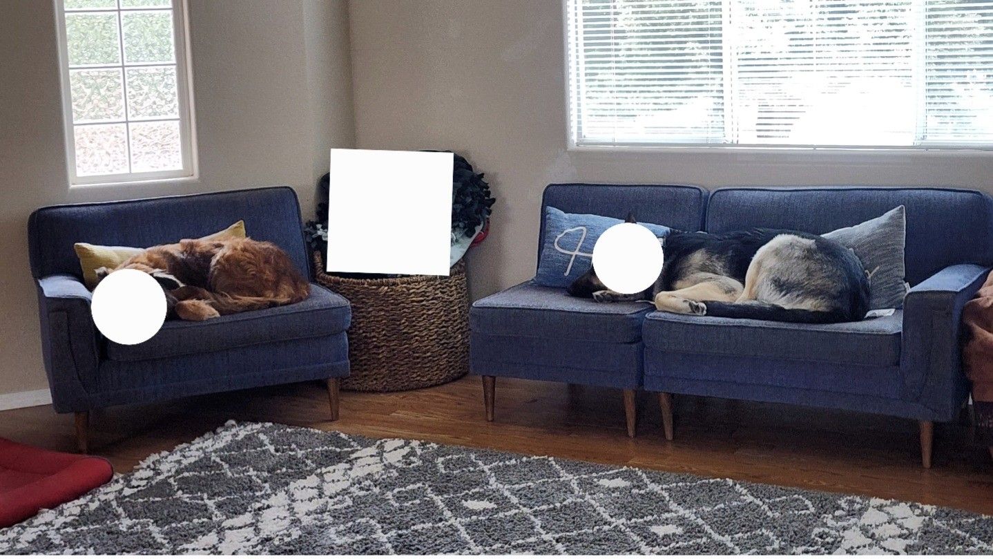 Free Blue Small Sectional Type Couch