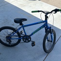 20”bicycle 