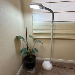 Full Spectrum Plant Grow Light  6f Tall 50 Obo