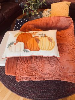 Fall Martha Stewart fur throw with pillow