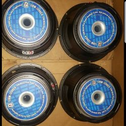 Paudio 12" Speakers