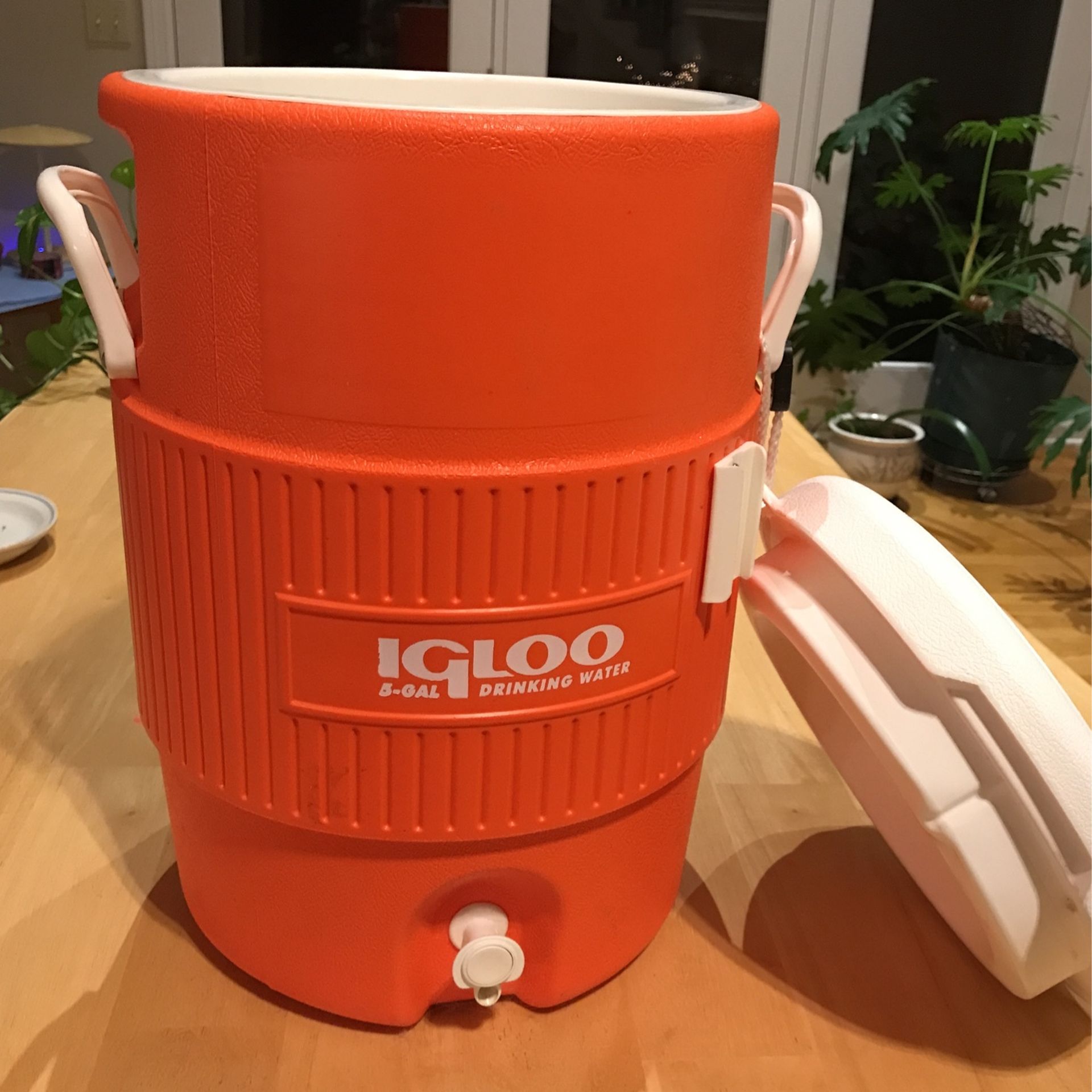 Igloo Water Cooler